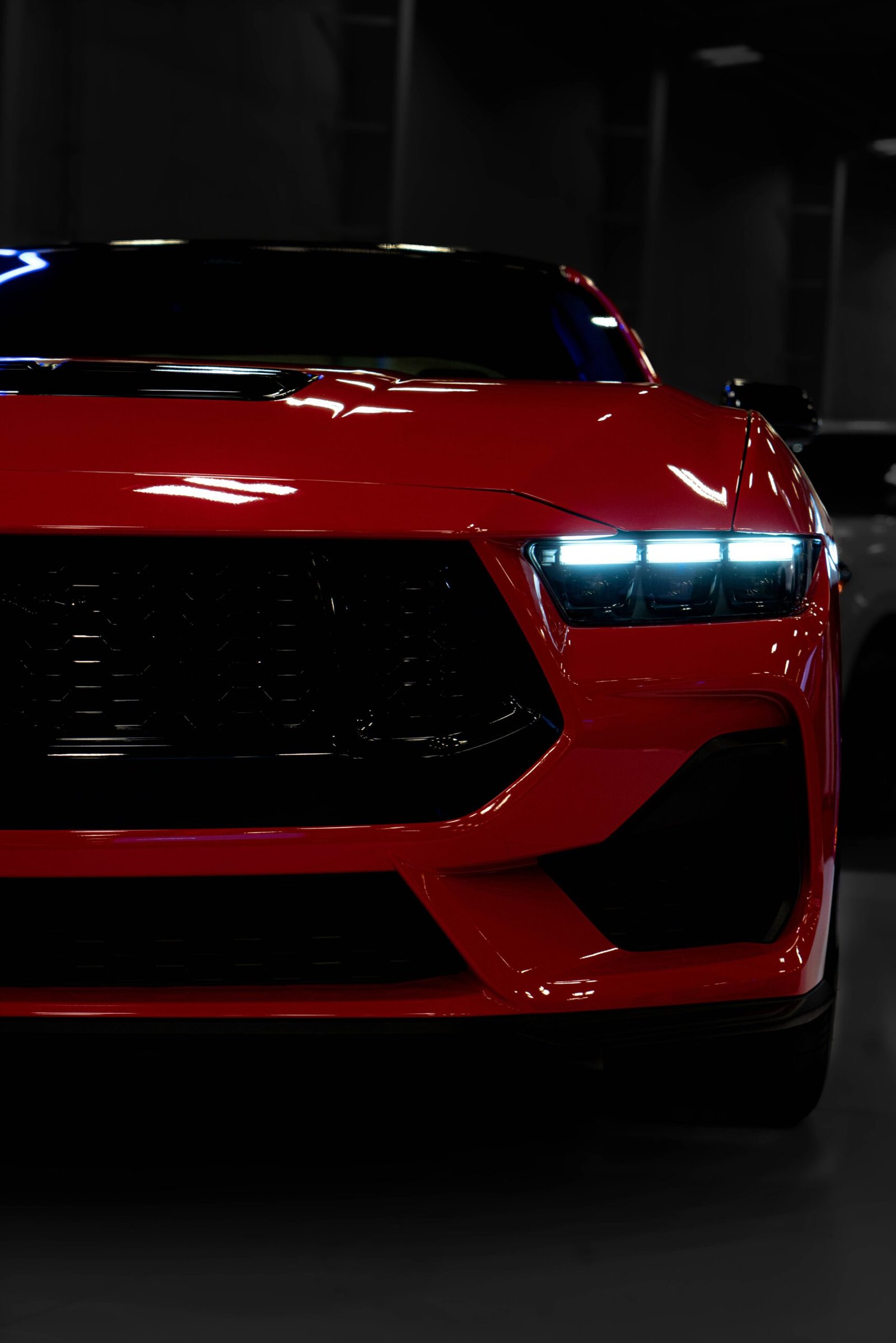 car nation stock